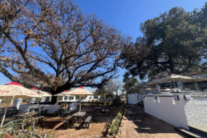 Dog-friendly restaurants in Johannesburg: Where the whole family is welcome